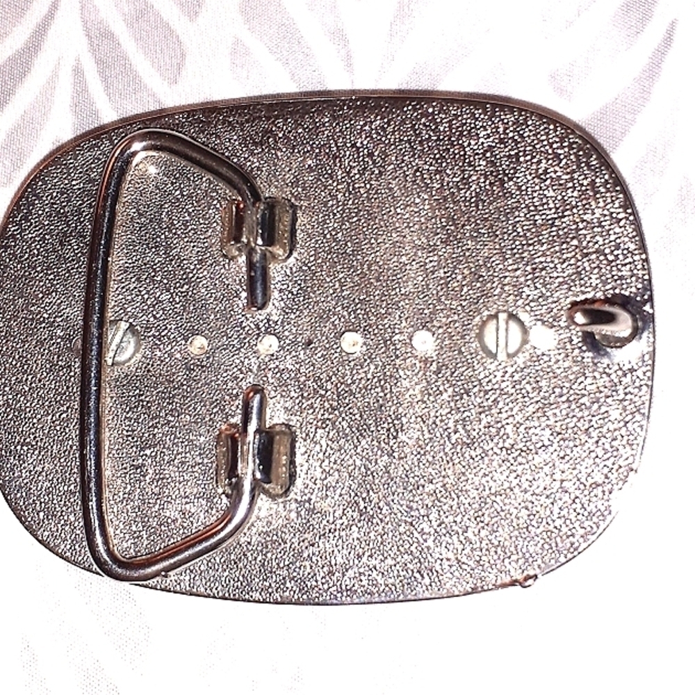 Belt BUCKLE!  COWGIRL? - Picture 4 of 8
